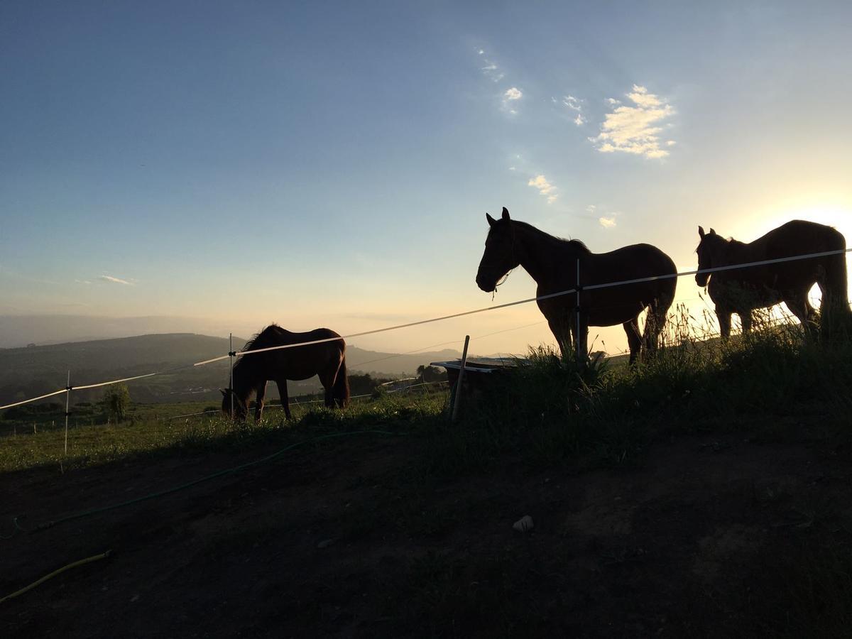 Suites Niditas Yuso Buitenkant foto